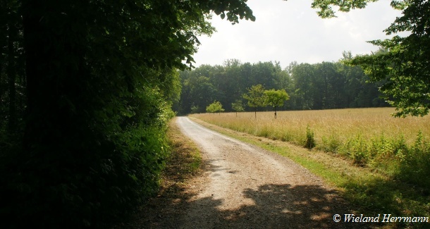 Kircheller Heide